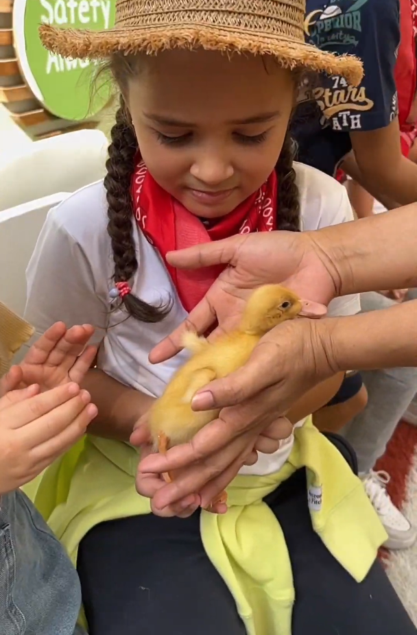 LITTLE BIG HANDS Program – Apple Seeds Academy in Khobar