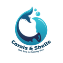 Children’s Swimming Camp (Under Five Years Old)