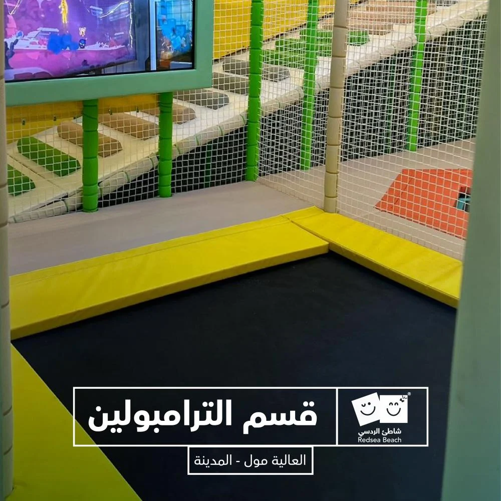 Full Day Fun at Red Sea Beach – Aliat Mall, Medina