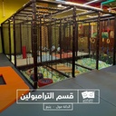 Full Day Fun at Red Sea Beach – Dana Mall, Yanbu