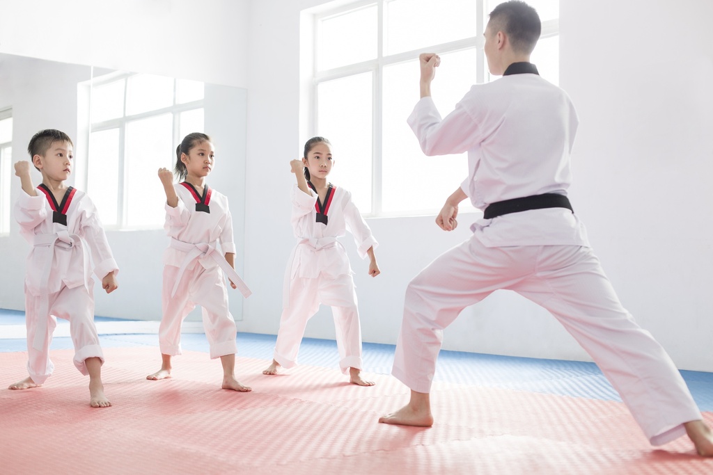 Karate Training