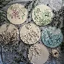 ورشة النحت على الجبس (١٤ سنة فما فوق) – مرسم فن وفكر في المدينة المنورة – حي وادي مذينب (٣ أسابيع)