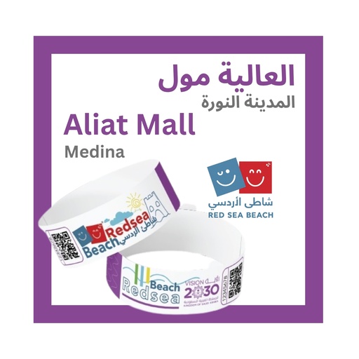 Full Day Fun at Red Sea Beach – Aliat Mall, Medina