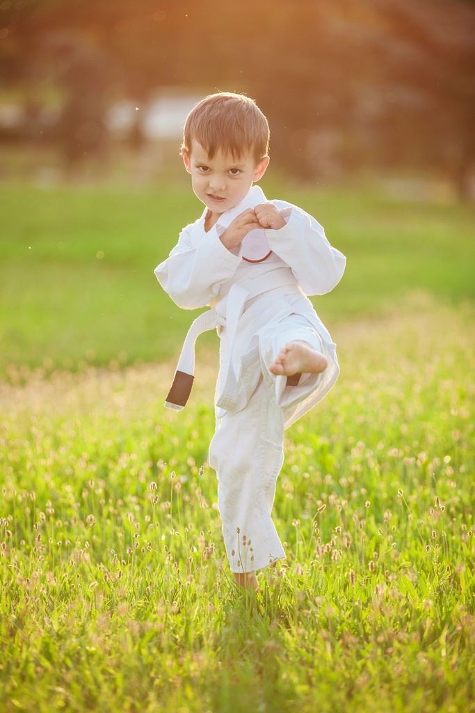 Kick into Action with Taekwondo (Boys)  