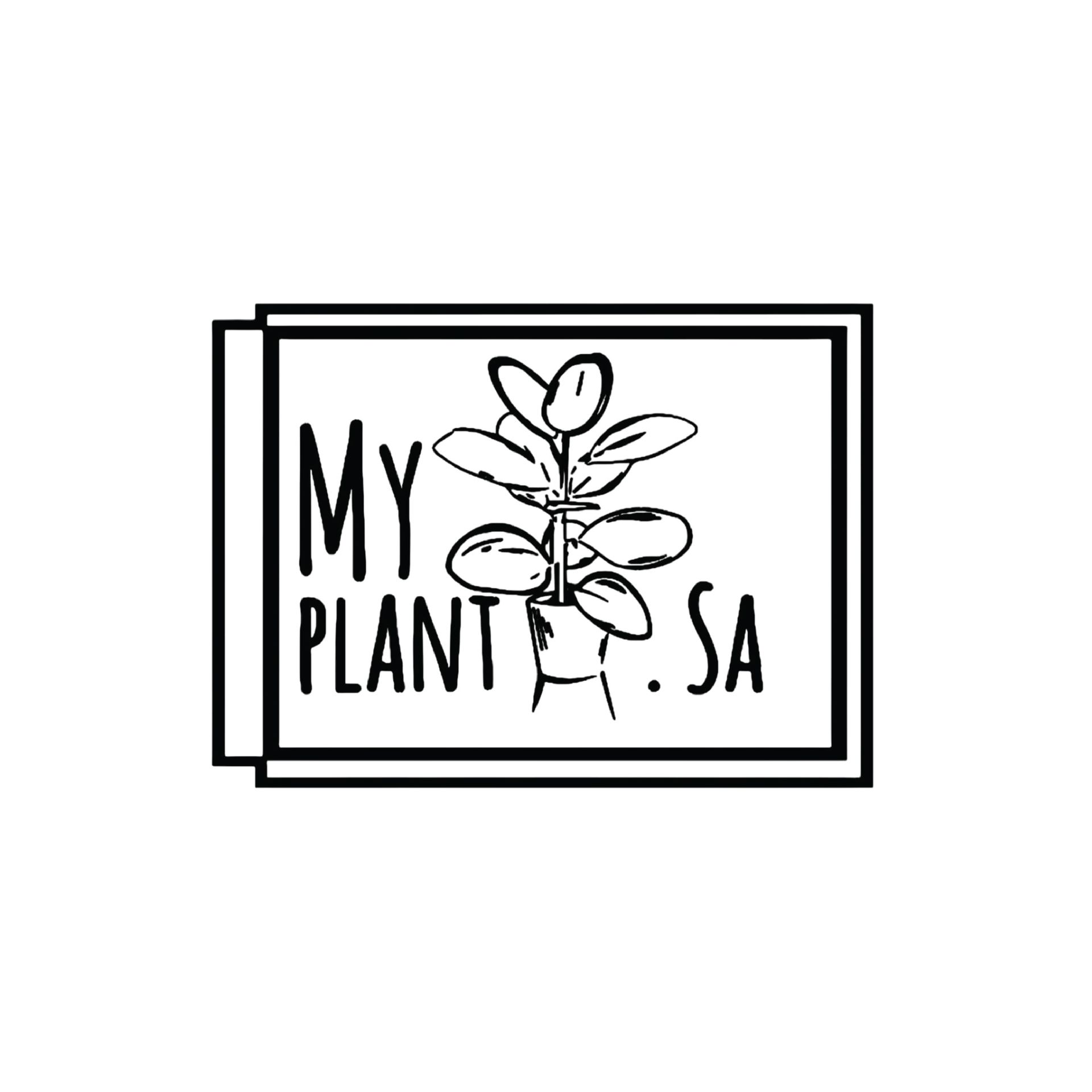 My Plant